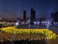 道路的亮化設計應該注意哪幾個點？